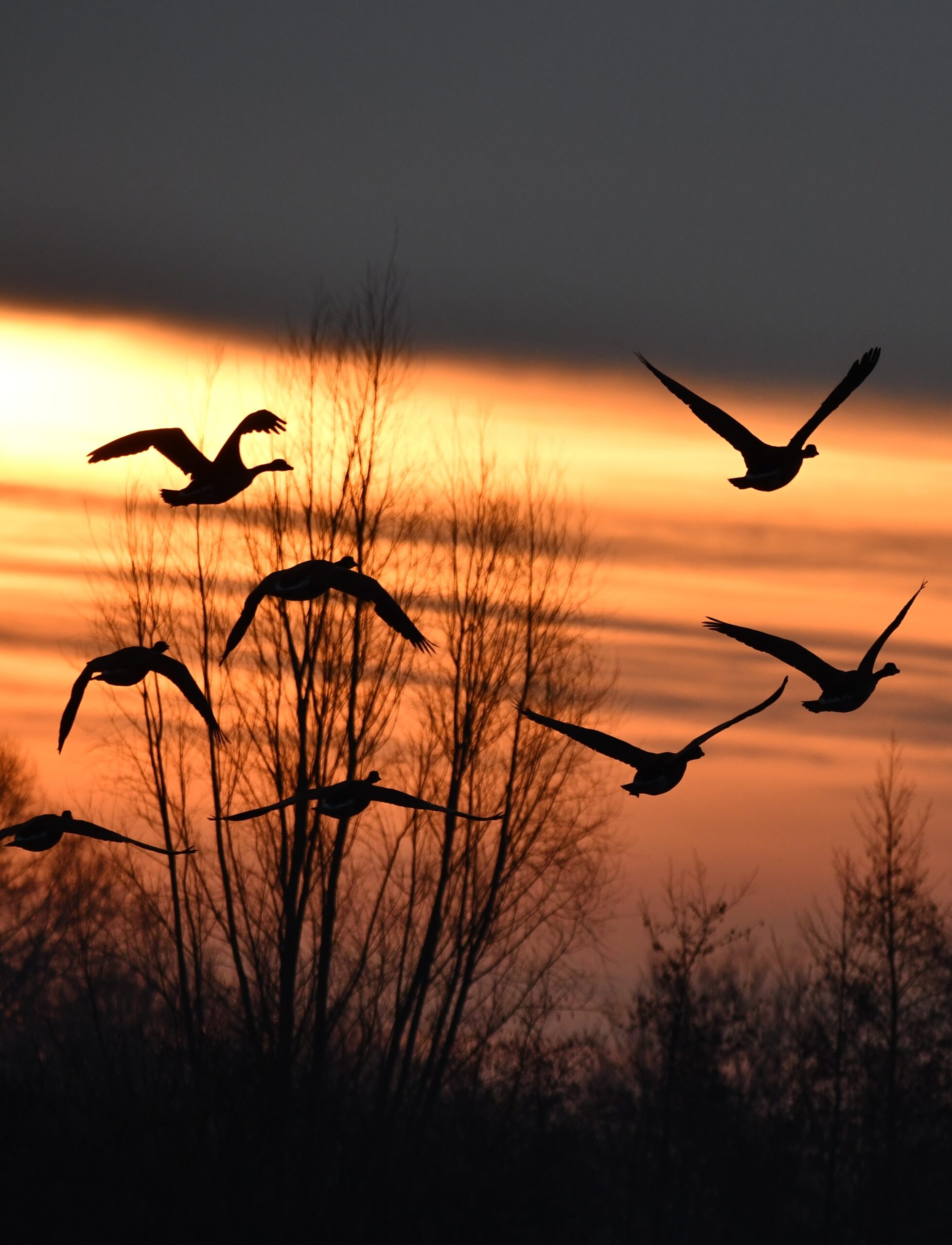 wat te doen bij overlijden